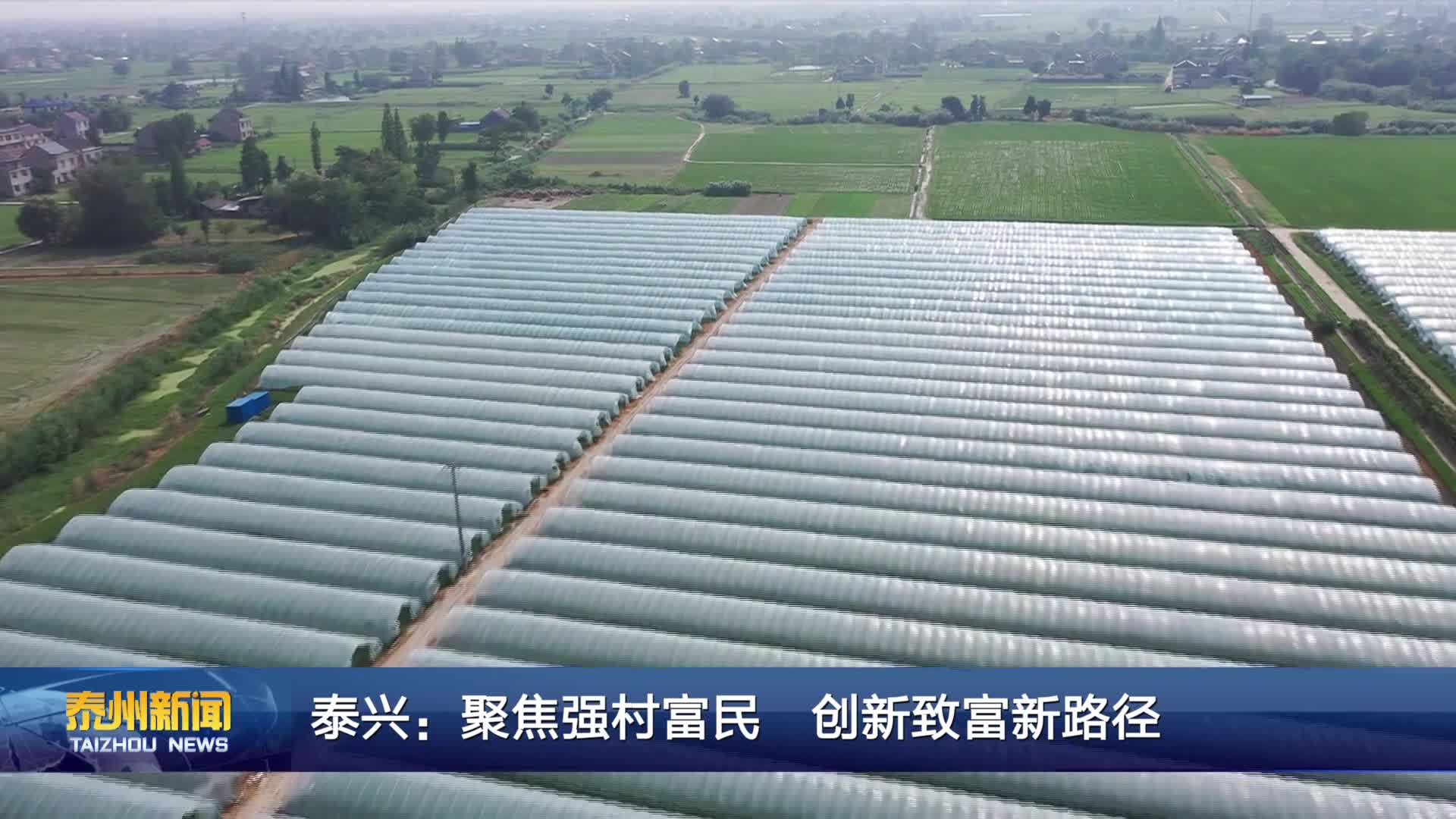 泰兴：聚焦强村富民 创新致富新路径